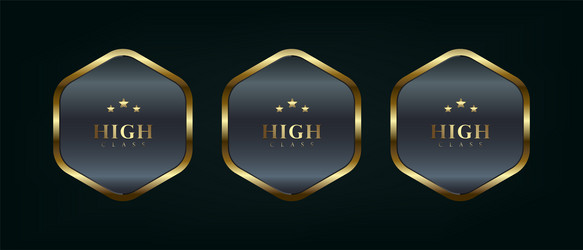 three polygon button used in ui ux vector image