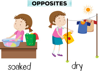 Opposite words for dry and wet Royalty Free Vector Image