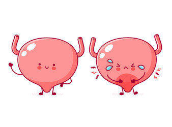 Cute happy and sad sick funny human bladder organ vector