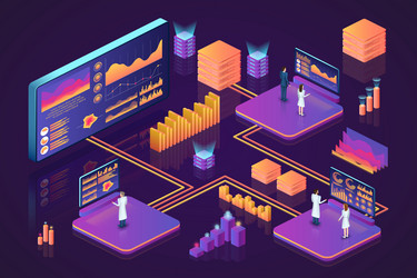 Isometric Data Analytics Dashboard vector image