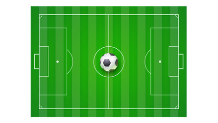 soccer field with grass and ball top view vector