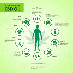 Cannabis benefits for health vector