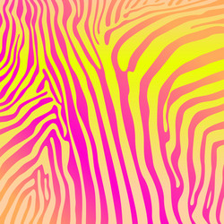 savannah pattern background design elements zebra vector image