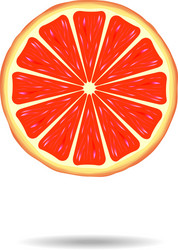 Grapefruit slice Royalty Free Vector Image - VectorStock