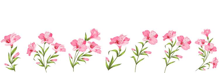 set of different hibiscus on white background Vector Image