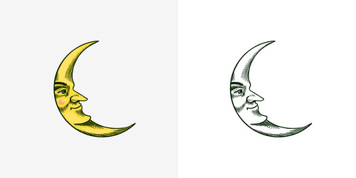 Crescent Moon Drawing Images  Browse 146223 Stock Photos Vectors and  Video  Adobe Stock