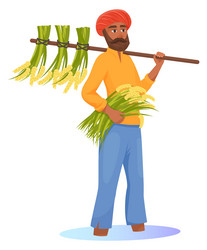 indian man harvesting rice traditional asian vector