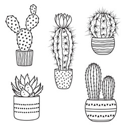 Set doodle cacti Royalty Free Vector Image - VectorStock