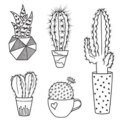 Set doodle cacti Royalty Free Vector Image - VectorStock