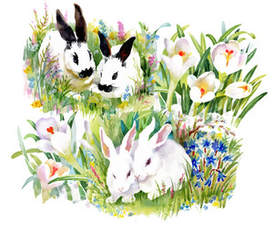 Watercolor Rabbits and Flowers Vector Image