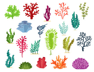 Underwater Seaweed and Coral Reefs vector