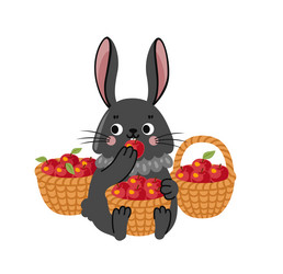 Cute black rabbbit eating red apple bunny cartoon Vector Image
