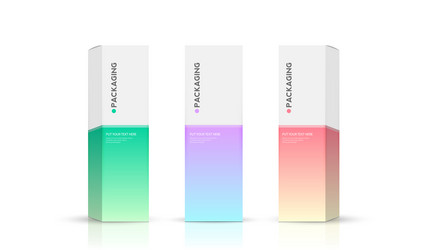 Set packaging design template for product box Vector Image