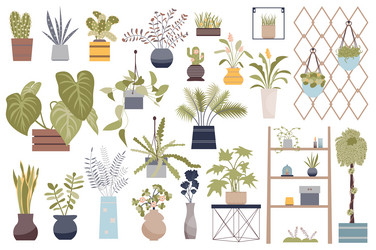 house plants isolated elements set bundle vector