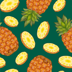 Realistic detailed 3d whole pineapple with round vector