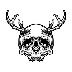 Deer Skull with Horns Vector Image