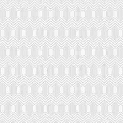 Geometric Hexagonal Pattern vector image