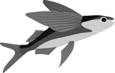 Flying Fish Vector Images (over 11,000)