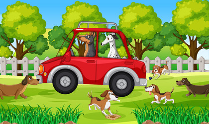 dogs driving in red car park vector