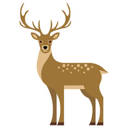 Cartoon deer isolated on white background Vector Image