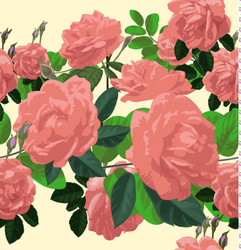 Floral Rose Seamless Pattern Vector Image