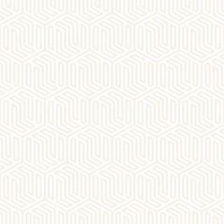 Subtle Hexagonal Pattern vector image