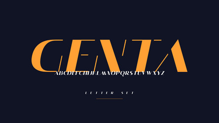 modern sans serif chic font uppercase Vector Image