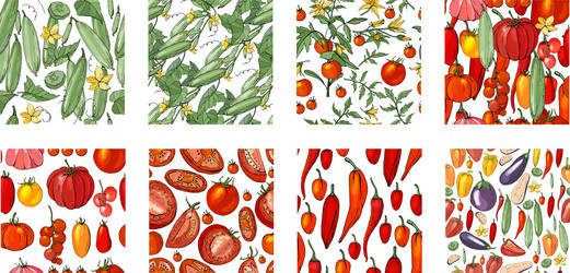 Seamless patterns with different vegetables vector