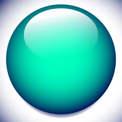 Sphere circle buttons with blank space and glossy vector