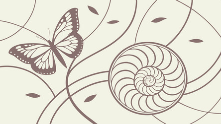 abstract butterfly with spiral shell and swirls vector image