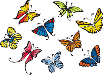 Colorful Butterfly Collection Vector Image