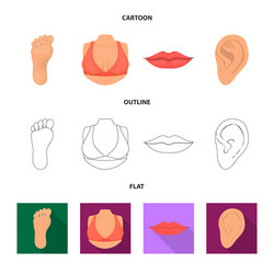 isolated object body and part logo collection vector image