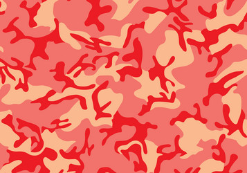 Background pattern of summer army camouflage red vector