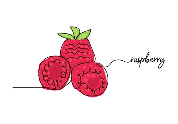raspberry continuous one line drawing fruit vector image