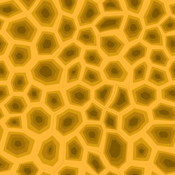 abstract modern turtle shell seamless pattern vector image
