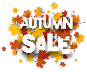 Autumn sale background with maple leaves vector