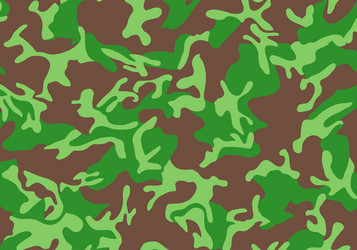 Background pattern of summer army camouflage vector