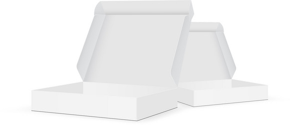 two blank boxes with open lid isolated vector