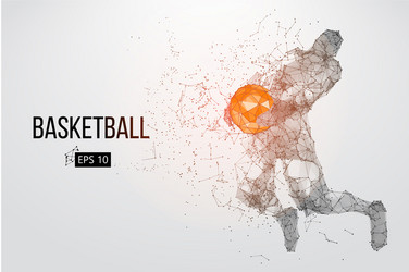 Basketball Player Silhouette vector image