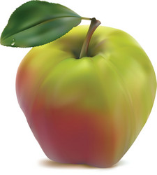 Rpe pear isolated on white Royalty Free Vector Image
