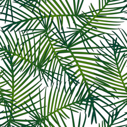 Tropical Leaves Pattern Vector Image