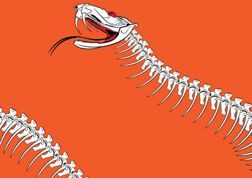 Snake Skeleton Diagram