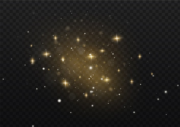 Dust sparks stars vector