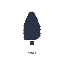 Cedar icon on white background simple element vector