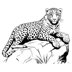 leopard lying on a stone branch line art ai vector