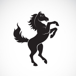 Skittish Horse Silhouette Vector Image