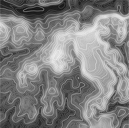 topographic map background with space for copy vector image