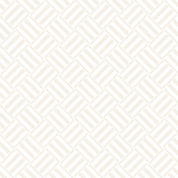 trendy monochrome twill weave lattice abstract vector image