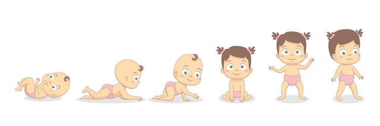 Baby growth process Royalty Free Vector Image - VectorStock