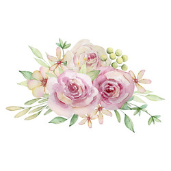 watercolor of a bouquet light pink roses Vector Image